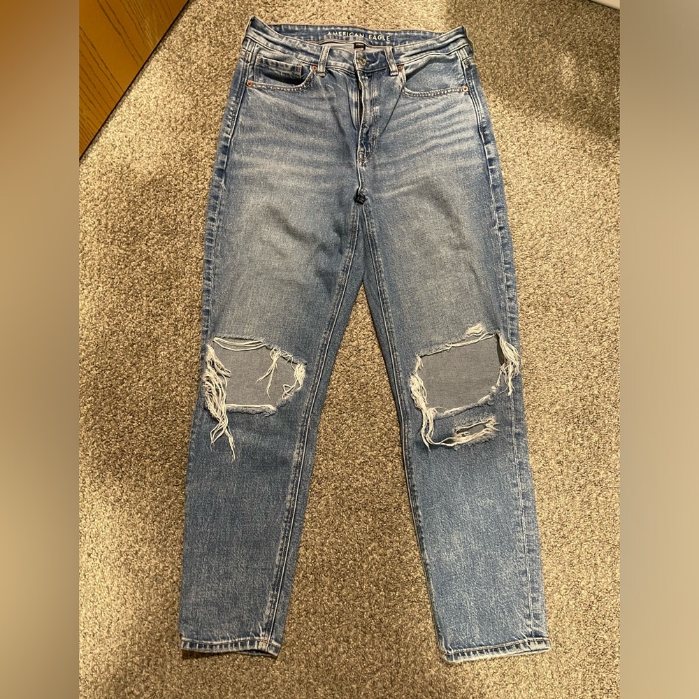 American Eagle 6R Mom Jeans